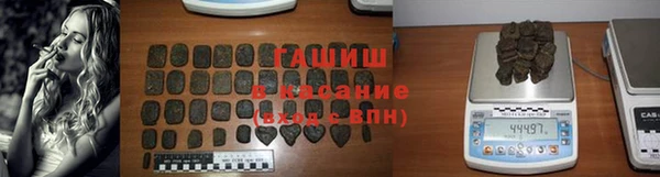 гидра Богородицк