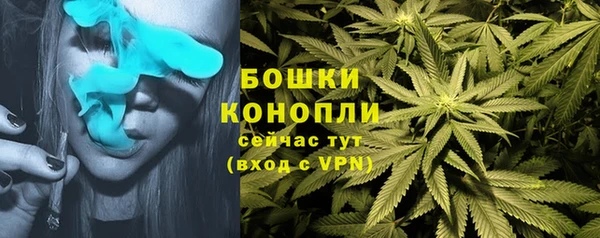 spice Медвежьегорск