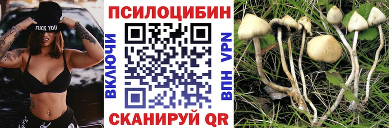 Псилоцибиновые грибы Psilocybe  Хвалынск 